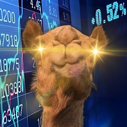 Camel Finance profile image