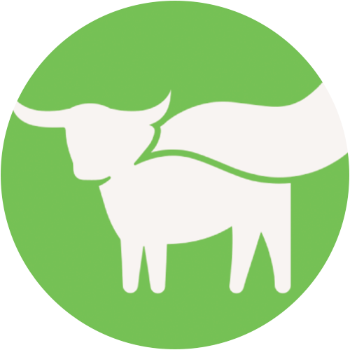 Beyond Meat Inc