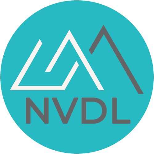 GraniteShares 2x Long NVDA Daily ETF