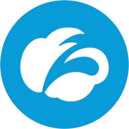 Zscaler Inc