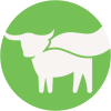 Beyond Meat Inc