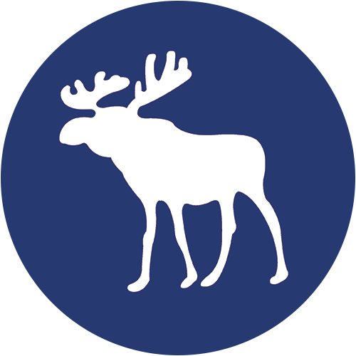 ANF logo
