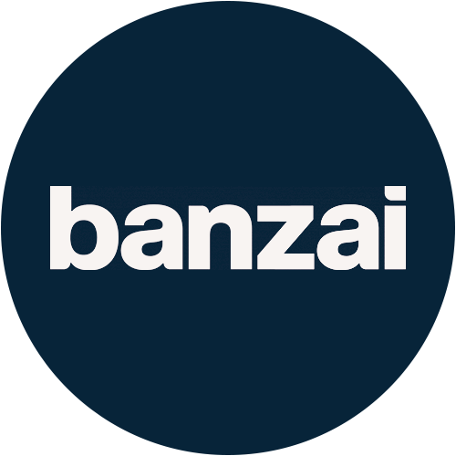 BNZI logo BNZI logo