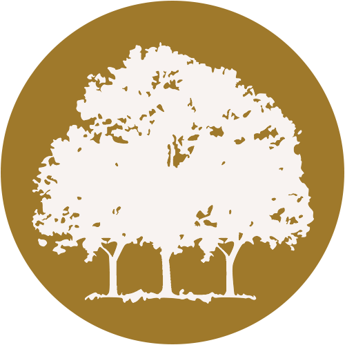 CGC logo CGC logo