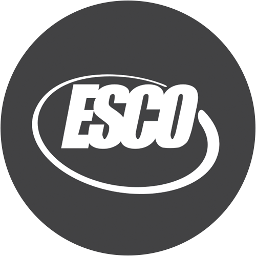 ESE logo ESE logo