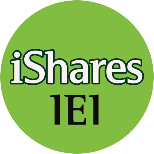IEI logo