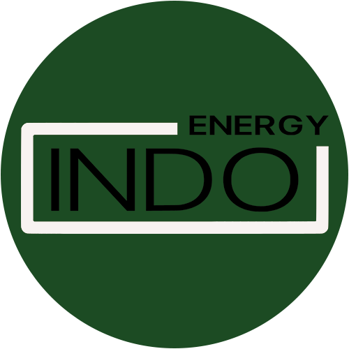 INDO logo INDO logo