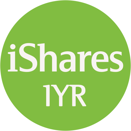IYR logo IYR logo