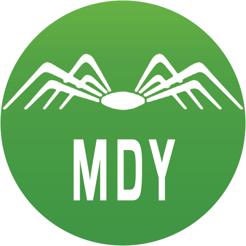 MDY logo MDY logo