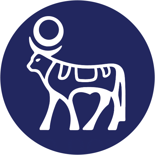 NVO logo NVO logo