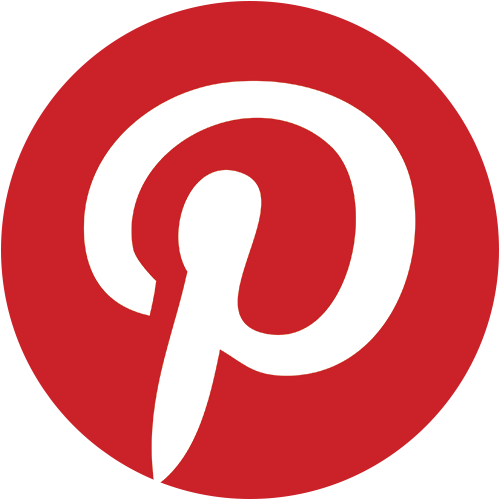 PINS logo PINS logo