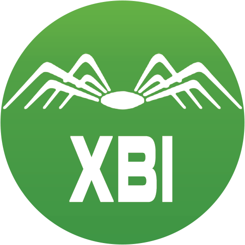XBI logo XBI logo