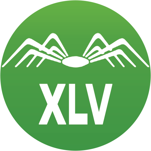 XLV logo XLV logo
