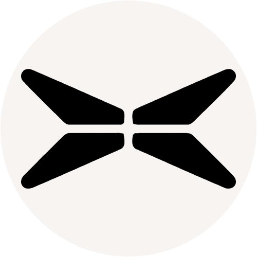 XPEV logo XPEV logo